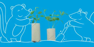 2 DIY-bloempotten van wc-rol en grapefruitschil