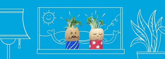 Tuinkers groeien in eierschalen