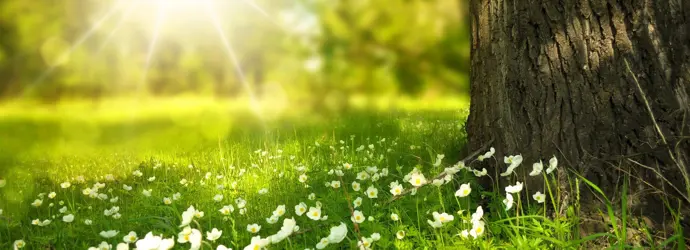 Verzorgende, innovatieve en biologisch afbreekbare producten