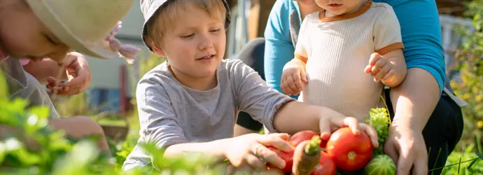 Een gezin verzamelt rijpe tomaten in een weelderige achtertuin.